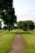 Wandern in Lostau