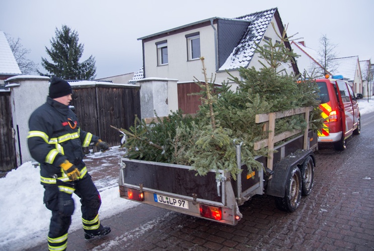 Weihnachtsbäume eingesammelt