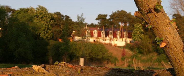 Galleriebild