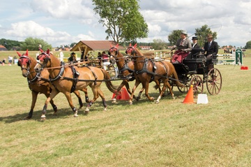 Mehr als Reiten und Springen