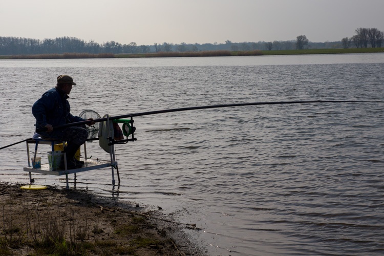 Titelbild zum News-Artikel Anangeln an der Alten Elbe