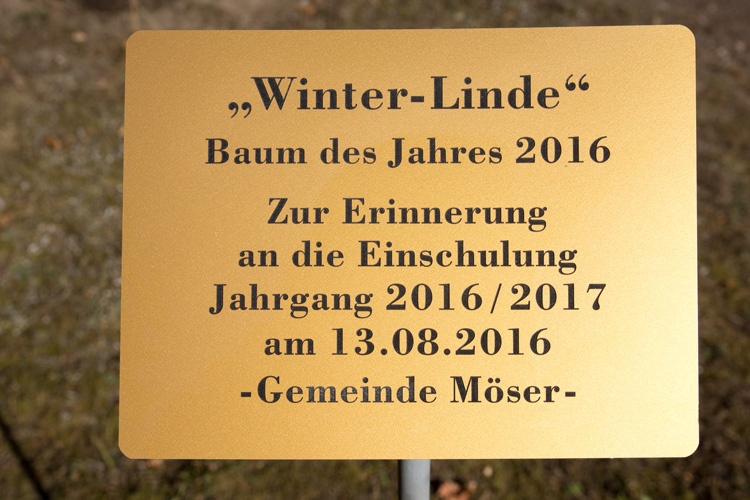 Galleriebild