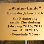 Galleriebild