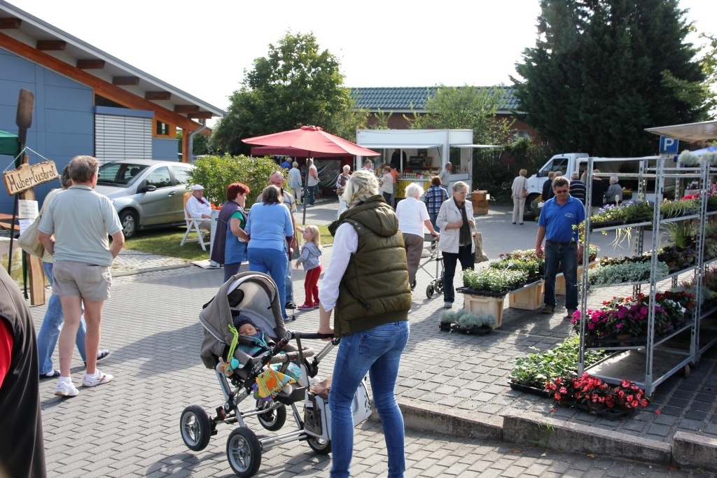 Galleriebild