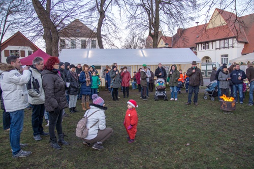 Titelbild zum News-Artikel Weihnachtszauber unterm Baum