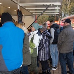 Galleriebild