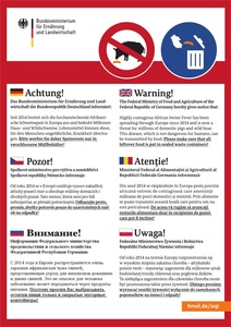 Informationen zur Schweinepest