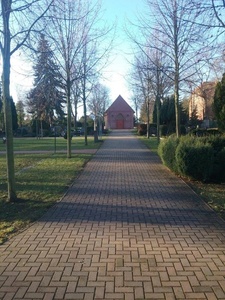 Baumpflegearbeiten auf dem Friedhof Möser