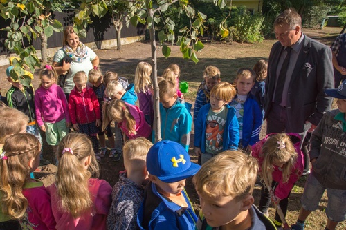 Titelbild zum News-Artikel: Baum gepflanzt