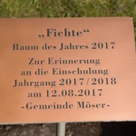 Galleriebild
