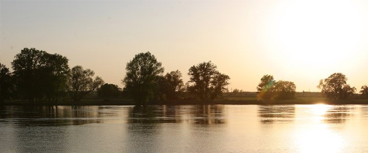 Galleriebild