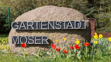 Paten für Blumenampeln gesucht