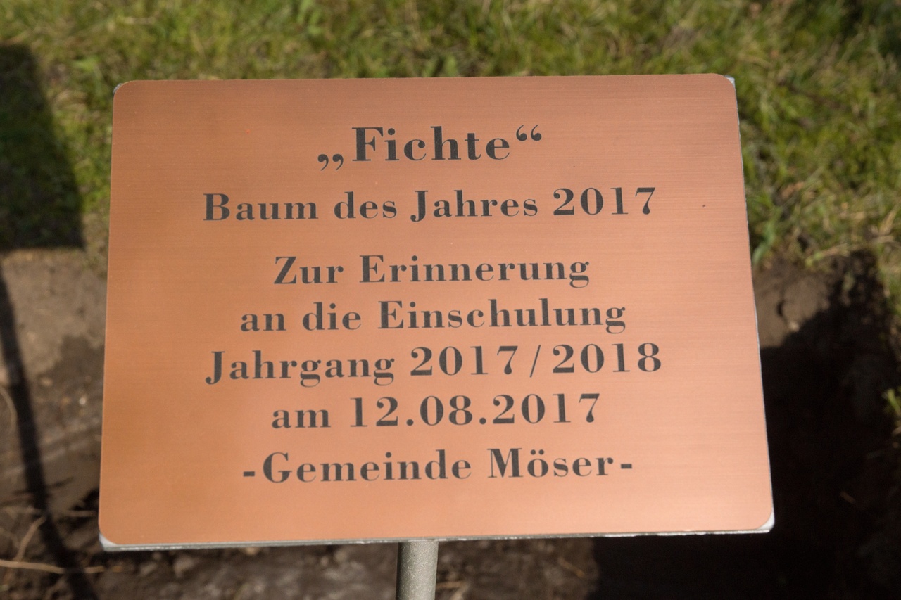Galleriebild