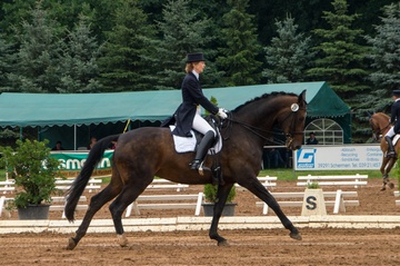 Dressur in Pietzpuhl
