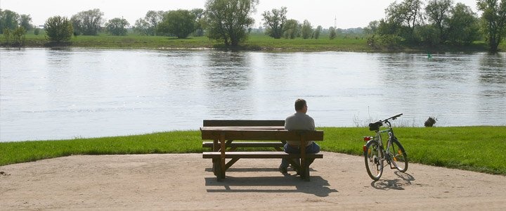 Galleriebild