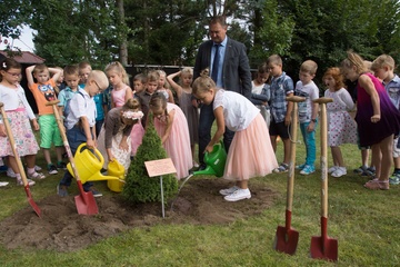 Baum gepflanzt