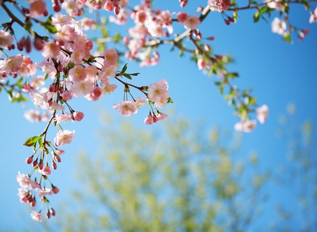 Mit meinem Garten teilnehmen