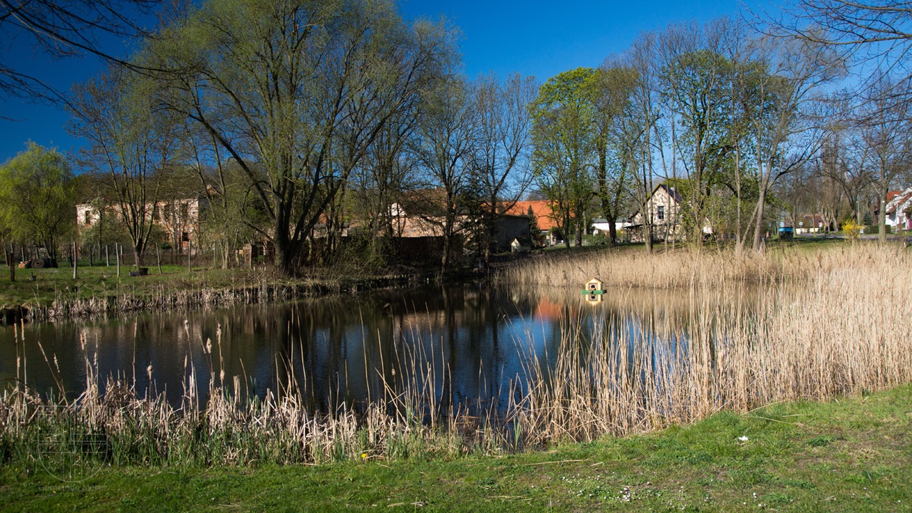 Galleriebild