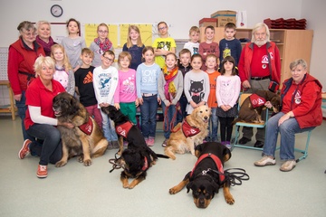 Den Umgang mit Hunden lernen