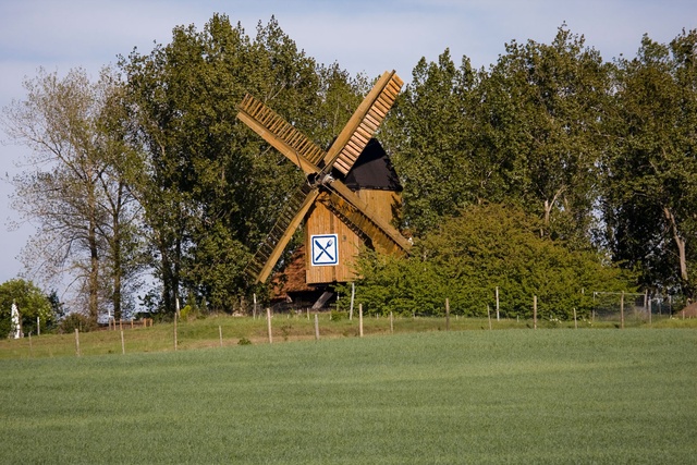 Weinberg mit Bockwindmühle
