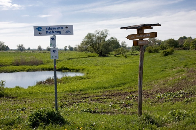 Radwandern an der Elbe