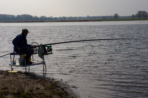 Titelbild zum News-Artikel: Anangeln an der Alten Elbe