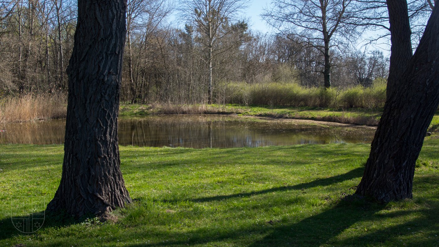 Park in Pietzpuhl mit Rasenfläche und Teich im Hintergrund