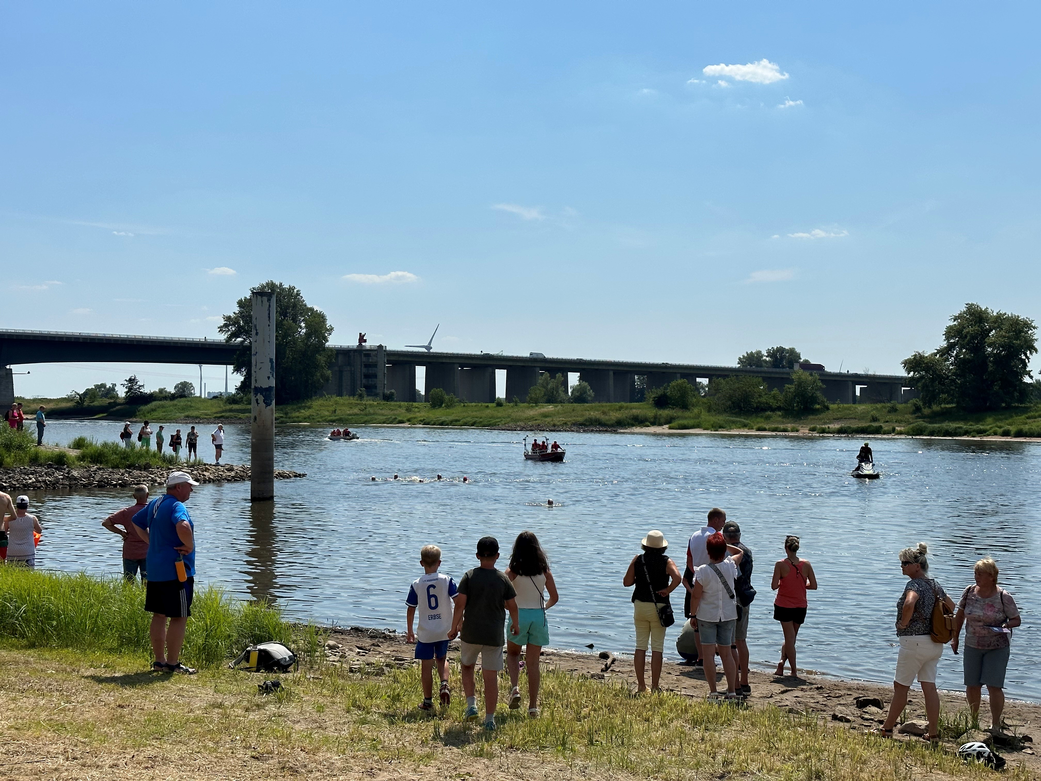 Uferblick auf Elbe am Elbebadetag 2024