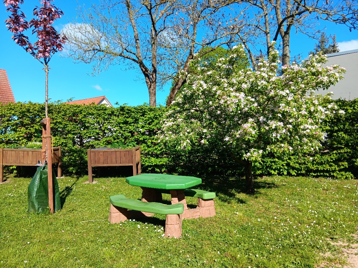 Bild vom Garten mit blühendem Baum und kleiner Sitzgruppe