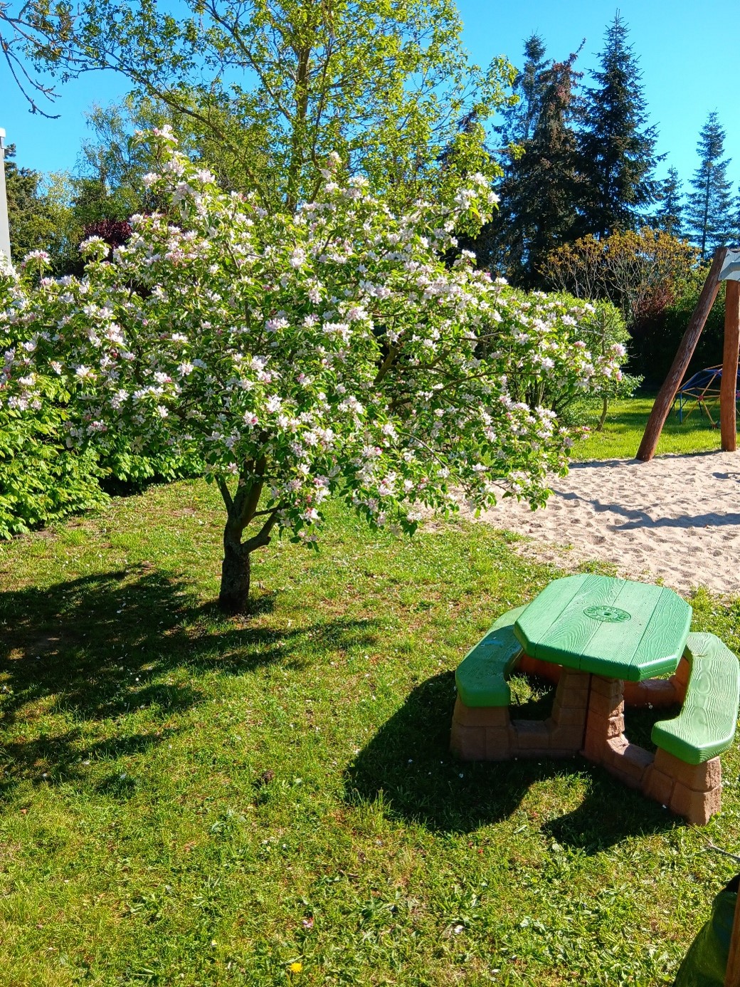 blühender Baum mit kleiner Sitzgruppe davor