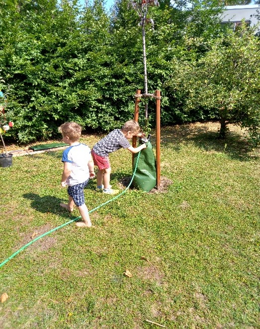 spielende Kinder auf der Wiese