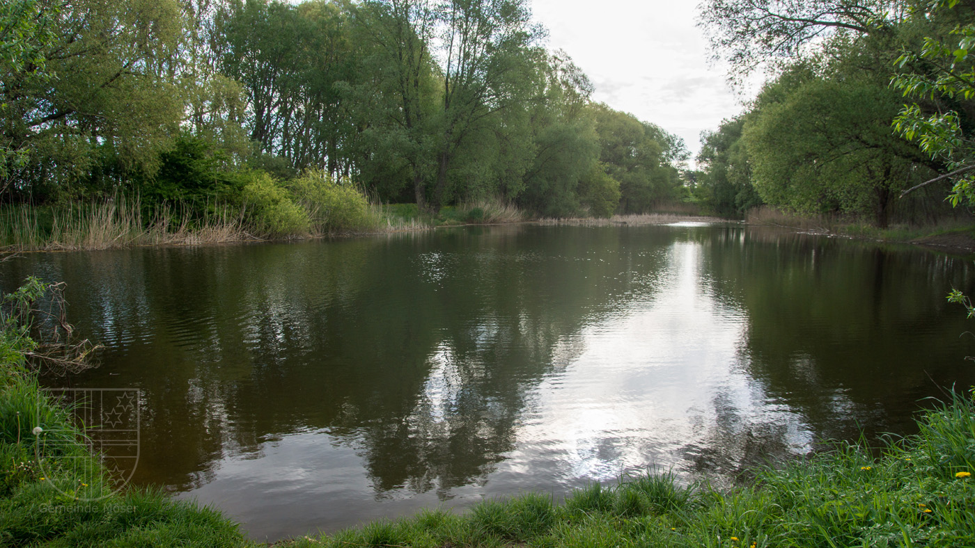 Teich in Schermen