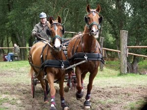 Reitclub Lostau (Foto: Dr. Bernd Denecke)